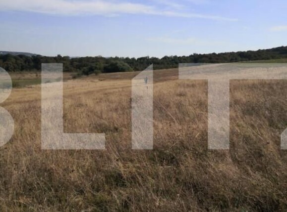 Teren de vânzare Exterior Vest - 144105TV | BLITZ Târgu Mureș | Poza2