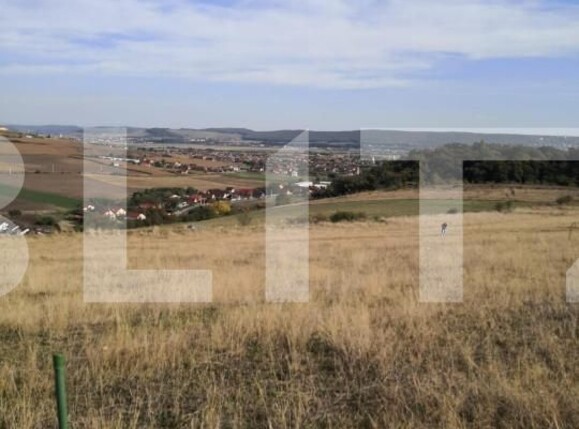 Teren de vânzare Exterior Vest - 144105TV | BLITZ Târgu Mureș | Poza3