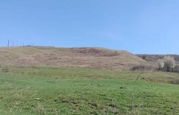 Teren extravilan, 24 ha, sat Saniacob, com. Atintis