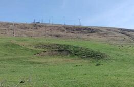 Teren extravilan, 24 ha, sat Saniacob, com. Atintis