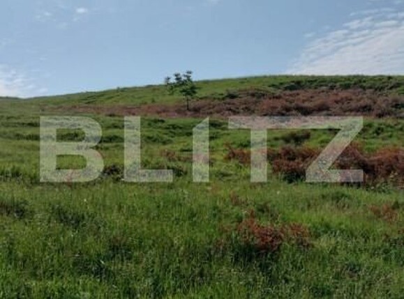 Teren de vânzare Exterior Vest - 144106TV | BLITZ Târgu Mureș | Poza6