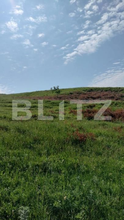 Teren de vânzare Exterior Vest - 144106TV | BLITZ Târgu Mureș | Poza6