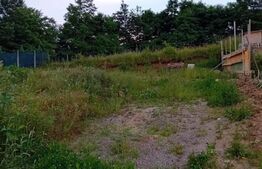 Teren intravilan, 490 mp, Livezeni