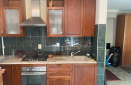 2 Casa de vanzare ,390 mp utili,555 mp teren, in Unirii