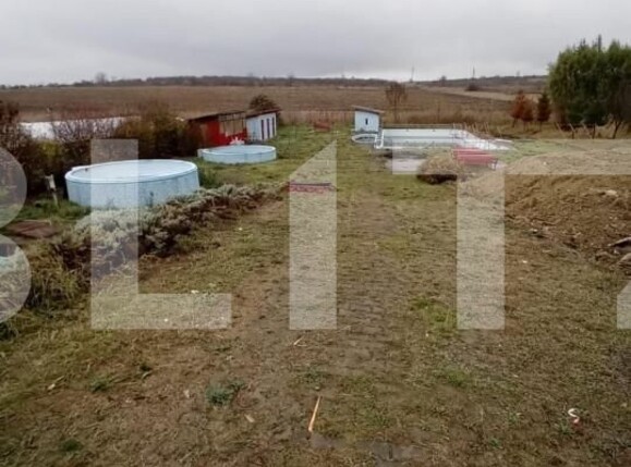 Casa de vânzare 5 camere Vest - 144110CV | BLITZ Târgu Mureș | Poza3