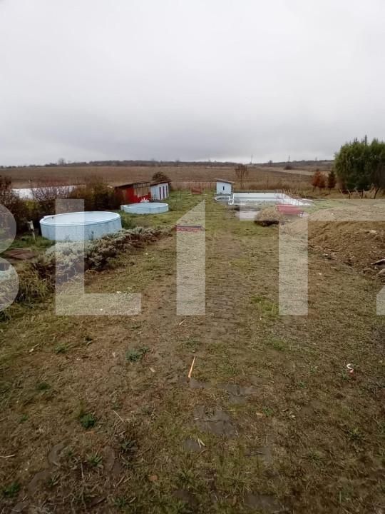 Casa de vânzare 5 camere Vest - 144110CV | BLITZ Târgu Mureș | Poza3