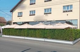 Oportunitate afacere la cheie!! Pensiune cu 22 camere, in Tg-Mures