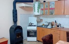 Casa cu 3 camere, 157 mp utili, 742 mp teren, zona Semicentral 