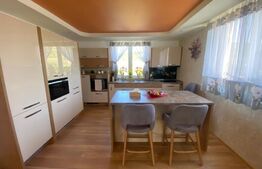 Casa cu 4 camere, 300 mp utili, 1100mp teren, Exterior Est