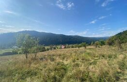 Teren extravilan, 14000 mp, in Lunca Bradului