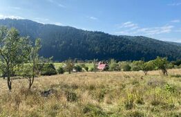 Teren extravilan, 14000 mp, in Lunca Bradului