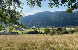 Teren extravilan, 14000 mp, in Lunca Bradului