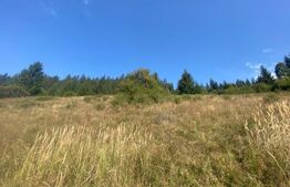 Teren extravilan, 14000 mp, in Lunca Bradului