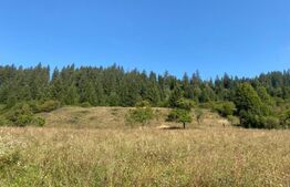 Teren extravilan, 14000 mp, in Lunca Bradului