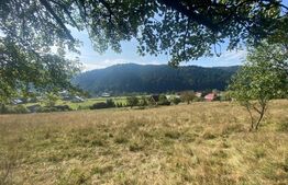 Teren extravilan, 14000 mp, in Lunca Bradului