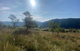 Teren extravilan, 14000 mp, in Lunca Bradului