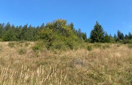 Teren extravilan, 14000 mp, in Lunca Bradului