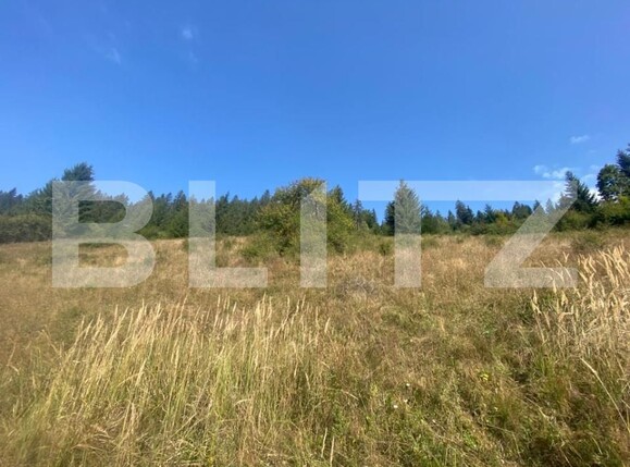 Teren de vânzare Nord-Est - 144122TV | BLITZ Târgu Mureș | Poza6