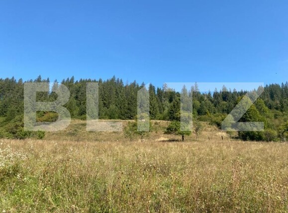 Teren de vânzare Nord-Est - 144122TV | BLITZ Târgu Mureș | Poza2