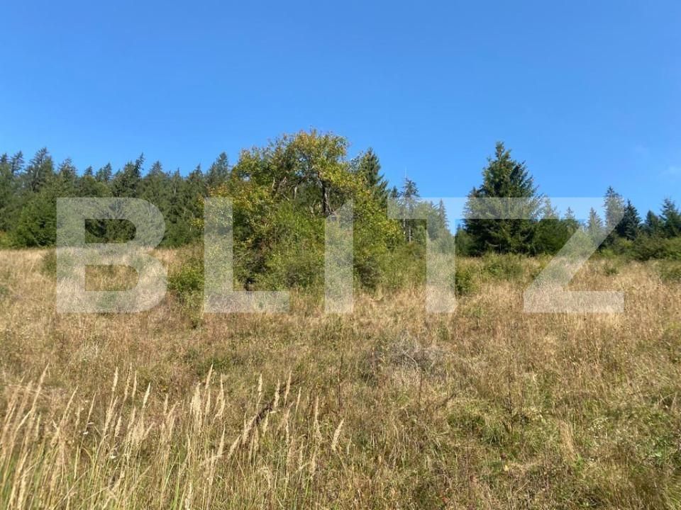 Teren de vânzare Nord-Est - 144122TV | BLITZ Târgu Mureș | Poza9