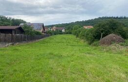 Teren intravilan, 2600 mp, Bardesti