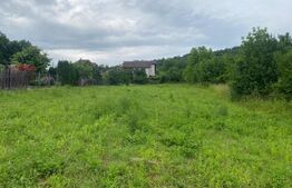 Teren intravilan, 2600 mp, Bardesti