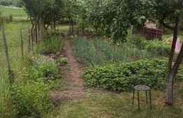 Casa cu 2 camere, 52mp, zona Remetea