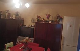 Casa cu 2 camere, 52mp, zona Remetea