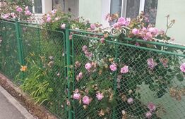 Casa cu 2 camere, 52mp, zona Remetea