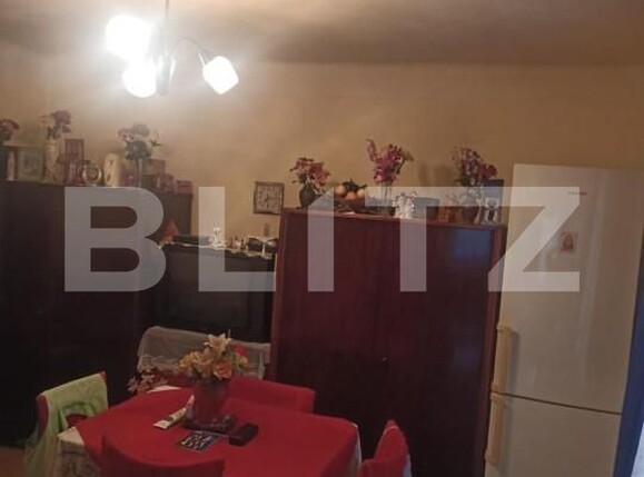 Casa de vânzare 2 camere Remetea - 144455CV | BLITZ Târgu Mureș | Poza13