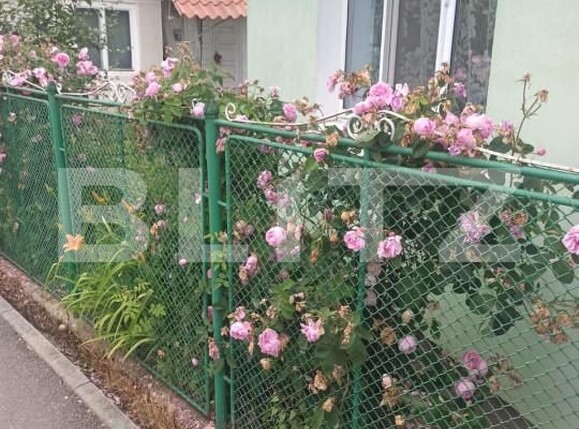 Casa de vânzare 2 camere Remetea - 144455CV | BLITZ Târgu Mureș | Poza12