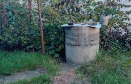 Casa cu 3 camere,100 mp utili, 4900 mp teren