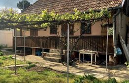 Casa renovabila/demolabila, teren 689 mp, in Ludus