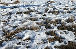 Teren intravilan in Tg-Mures, zona Shopping City 