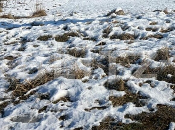 Teren de vânzare 1 Decembrie 1918 - 144506TV | BLITZ Târgu Mureș | Poza2