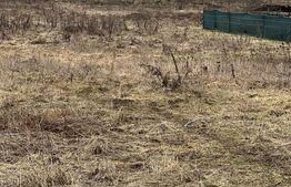 Teren intravilan, 568mp, zona Livezeni