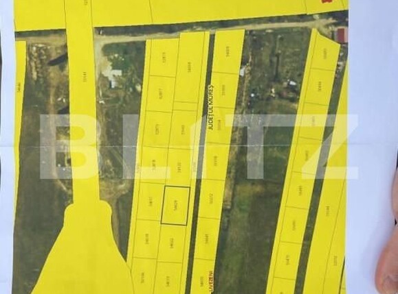 Teren de vânzare Livezeni - 144507TV | BLITZ Târgu Mureș | Poza2