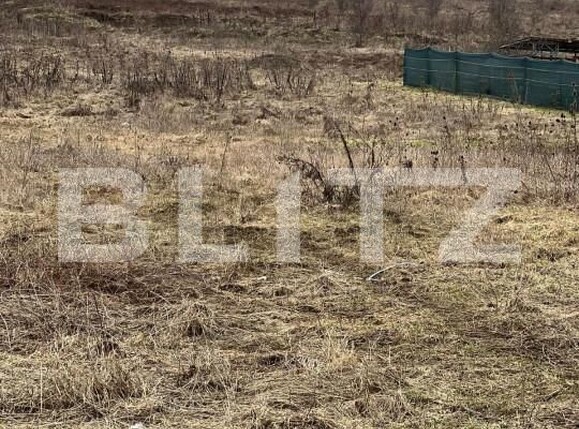 Teren de vânzare Livezeni - 144507TV | BLITZ Târgu Mureș | Poza1