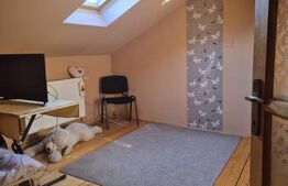 Vand casa cu 3 camere singur in curte p+m in Dambul Pietros