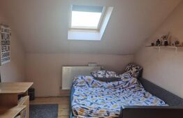 Vand casa cu 3 camere singur in curte p+m in Dambul Pietros