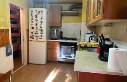 Vand casa cu 3 camere singur in curte p+m in Dambul Pietros