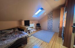 Vand casa cu 3 camere singur in curte p+m in Dambul Pietros