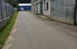 Hala industriala, 5 camere, 1480mp, 22 Decembrie