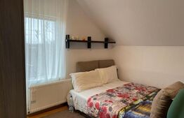 Casa cu 3 camere, 160 mp, Santana de Mures