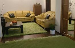 Proprietate cu doua imobile, cu intrari separate, teren cu 330 mp, Cornisa