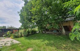 Casa 4 camere, 220mp utili, Nord