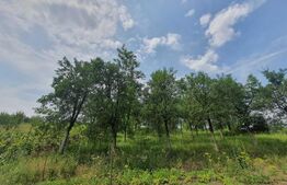 Casa 4 camere, 220mp utili, Nord