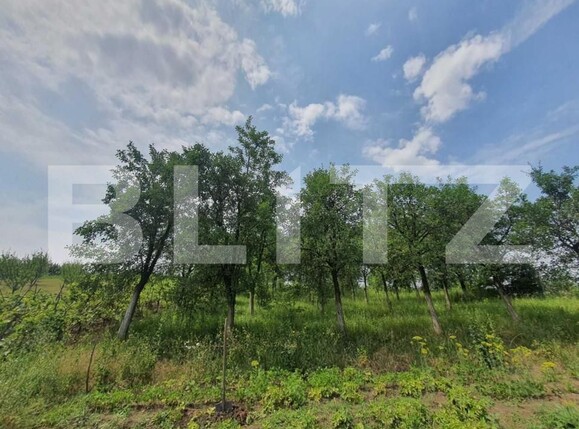 Casa de vânzare 4 camere Nord - 144959CV | BLITZ Târgu Mureș | Poza1