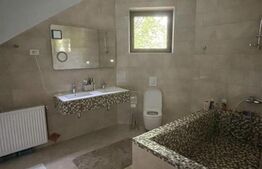 Casa cu 4 camere, 210 mp utili, teren cu 350 mp, Dambul Pietros