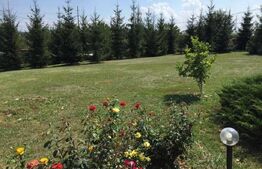 Casa cu 6 camere, 280 mp, teren 3800 mp, Unirii